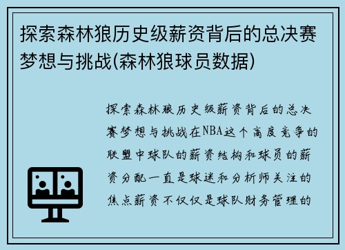 探索森林狼历史级薪资背后的总决赛梦想与挑战(森林狼球员数据)